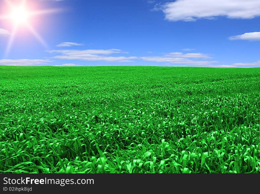 Landscape - Green field and blue sky