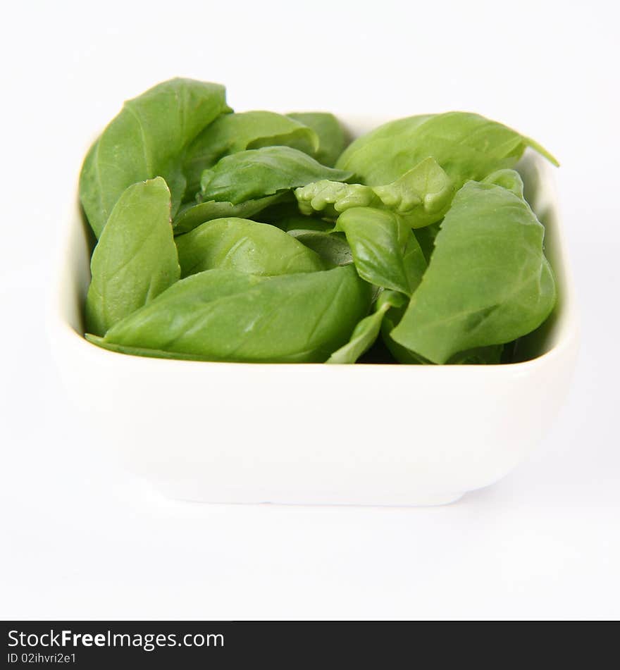 Basil