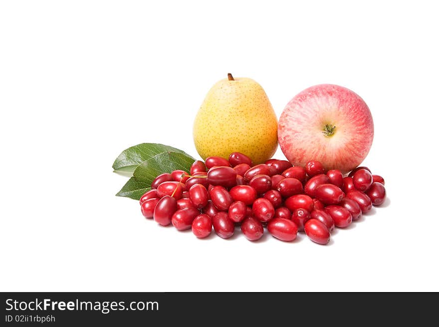 Ripe,fresh Autumn Fruits On A White.