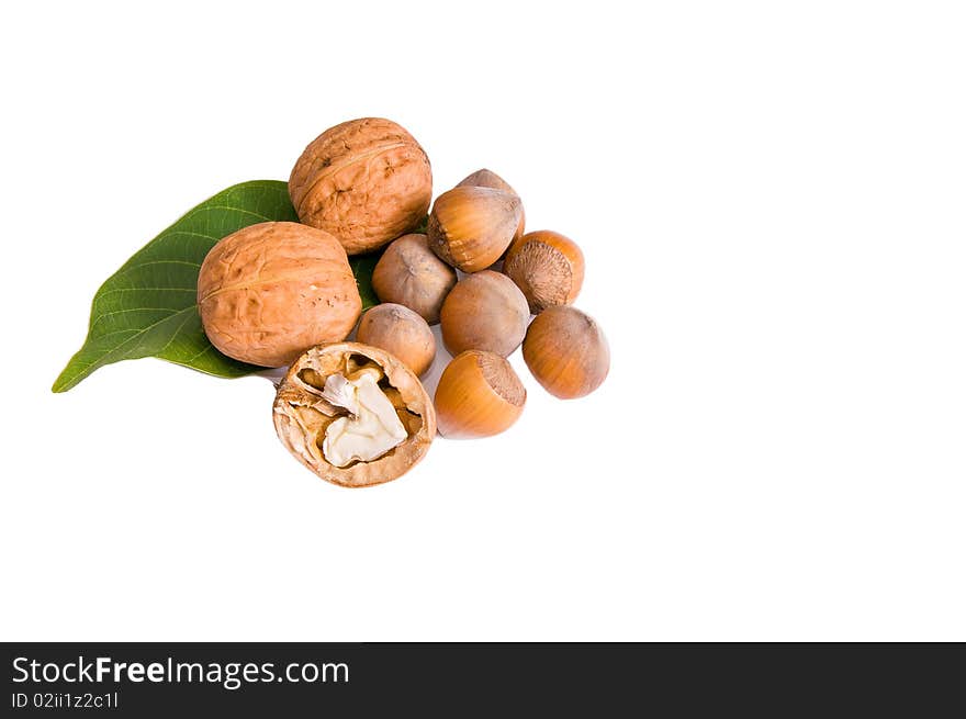 Ripe edible walnuts and hazelnuts isolated on a white background. Ripe edible walnuts and hazelnuts isolated on a white background.