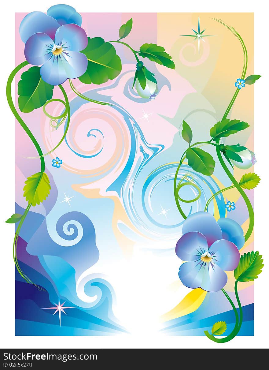 Pansy flowers blue for postcard, for design. Pansy flowers blue for postcard, for design