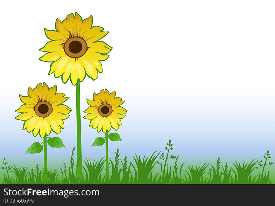 Natural background with yellow sunflowers, grass and blue sky