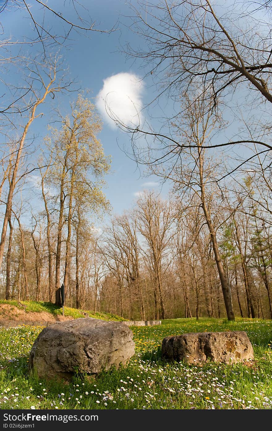 Landscape with white cloud