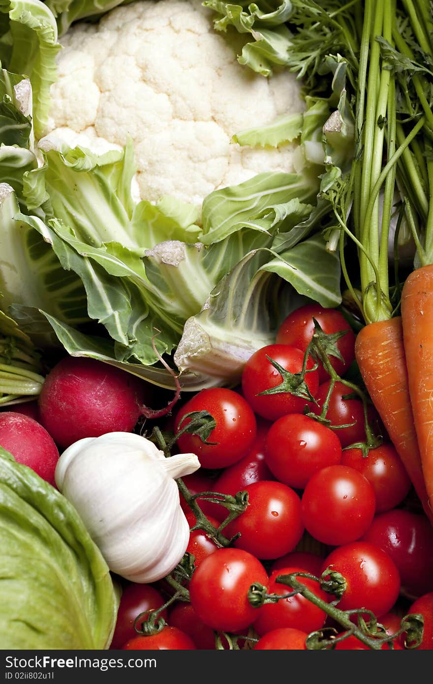 Set of different fresh vegetables. Set of different fresh vegetables