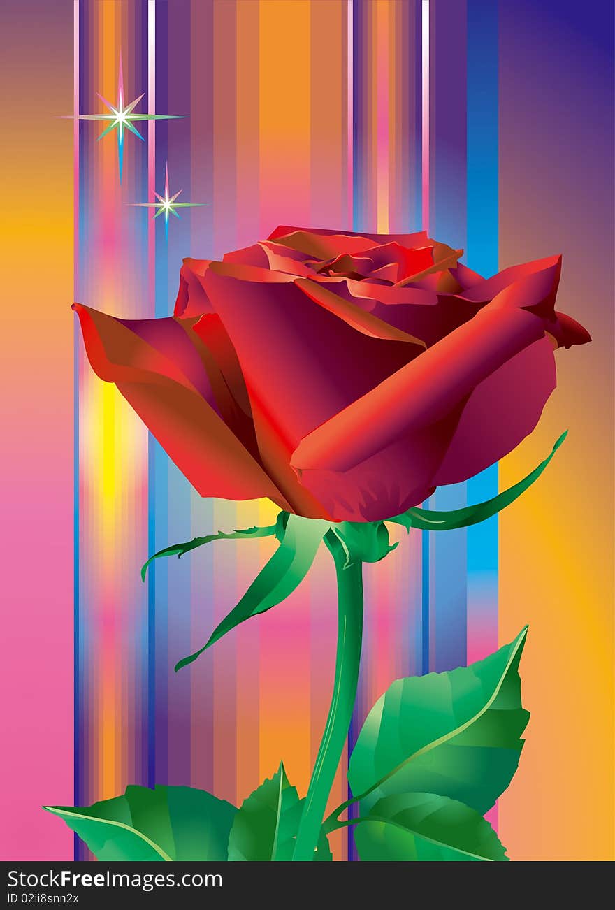 Red_rose_flower