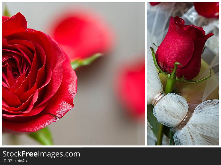 Wedding collage with red roses, weddings rings and bridal veil