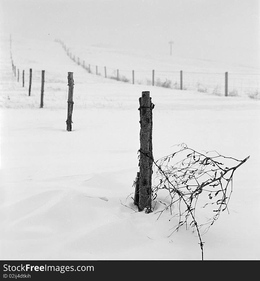 Broken fence