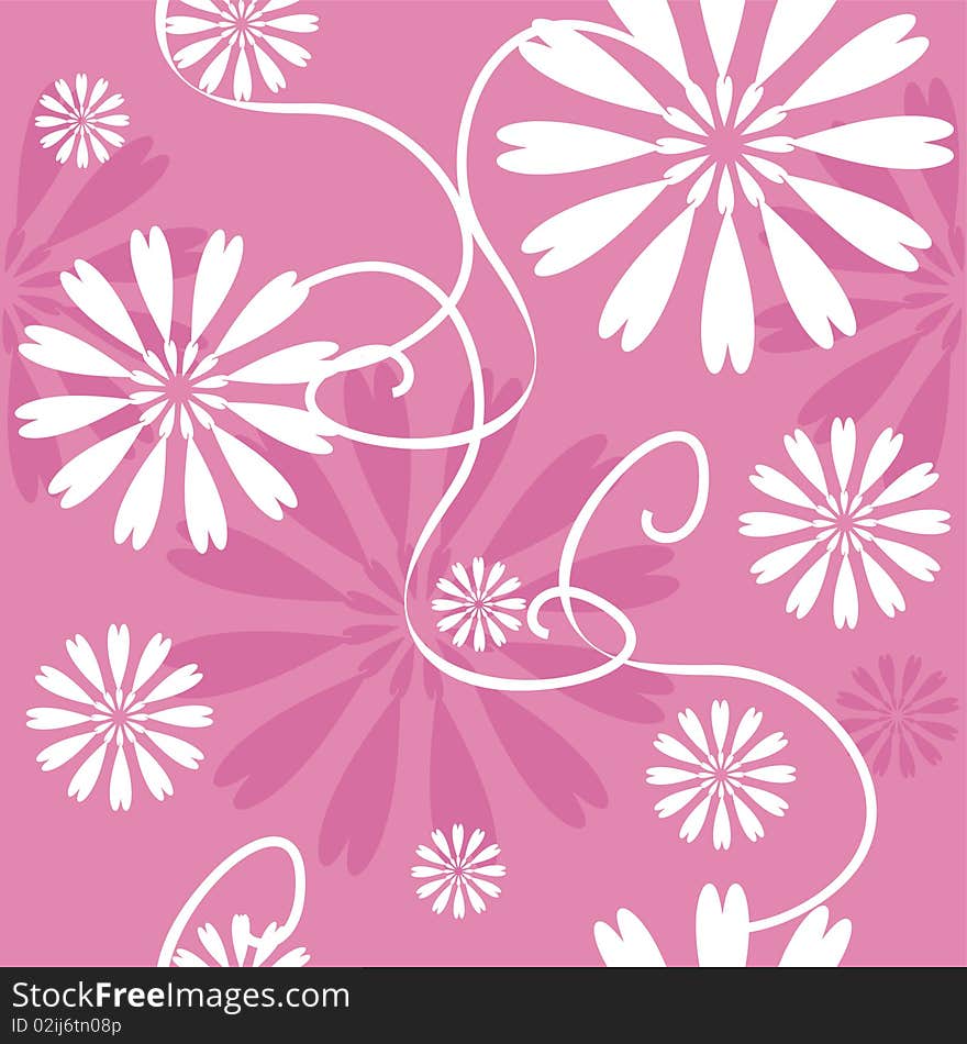 Background with white flowers on pink. Background with white flowers on pink