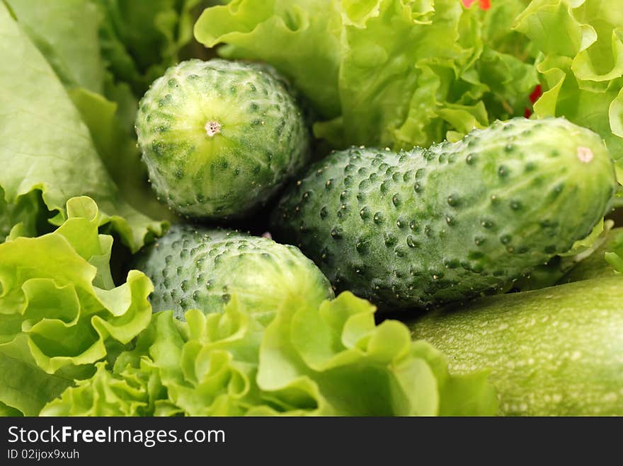 Composition from cucumbers and other vegetables