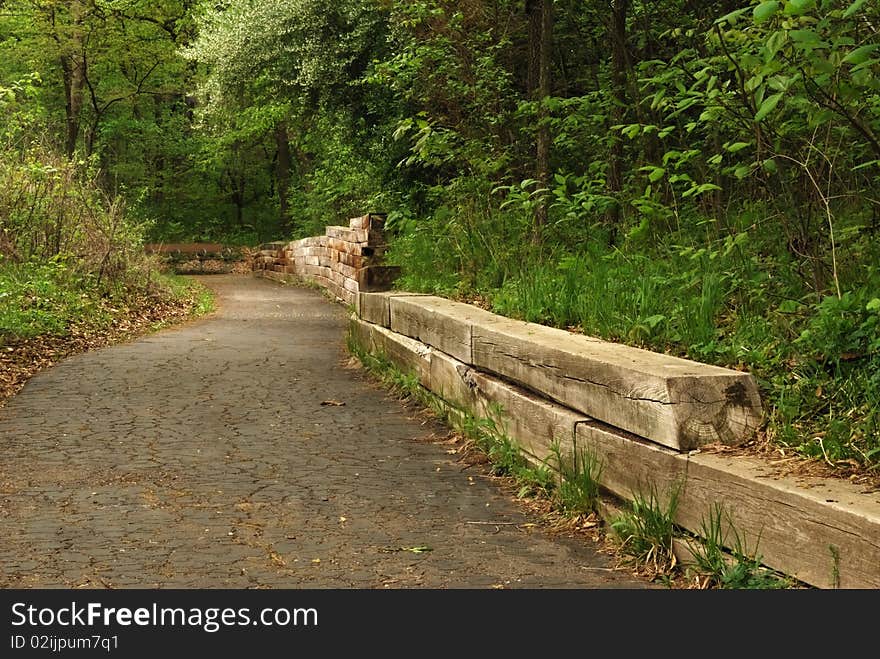 Resting spot at the side of a forest trail. Resting spot at the side of a forest trail