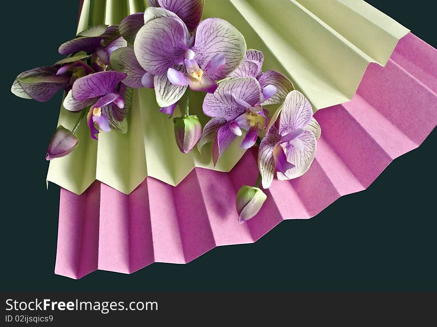 A paper fan and silk orchids. A paper fan and silk orchids