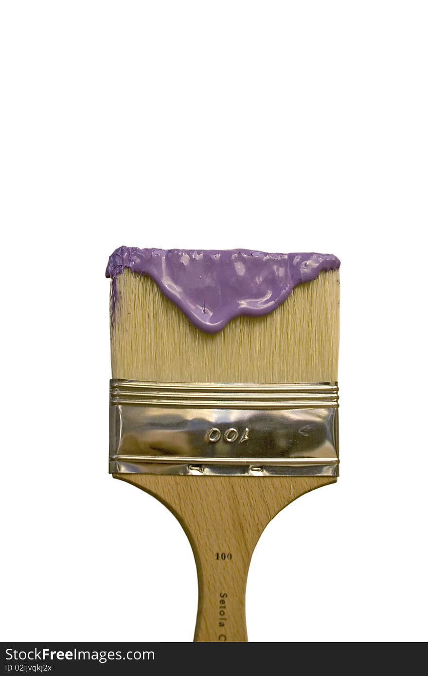 Brush dipped in purple