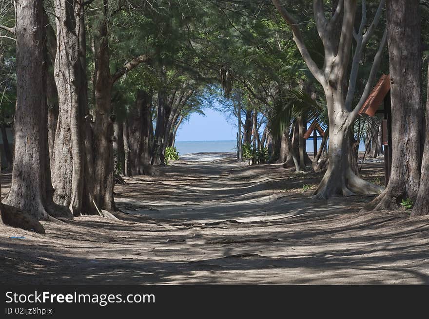 The way go to the sea, this picture is in Thailand. The way go to the sea, this picture is in Thailand