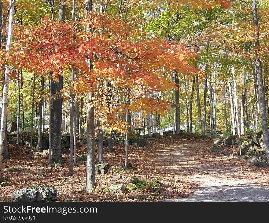 Autumn in the Bruce Peninsula