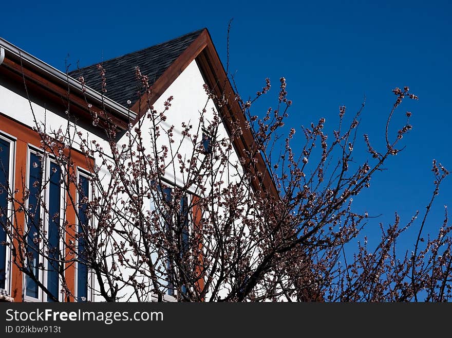 Top of house roof lines and blue sky in background