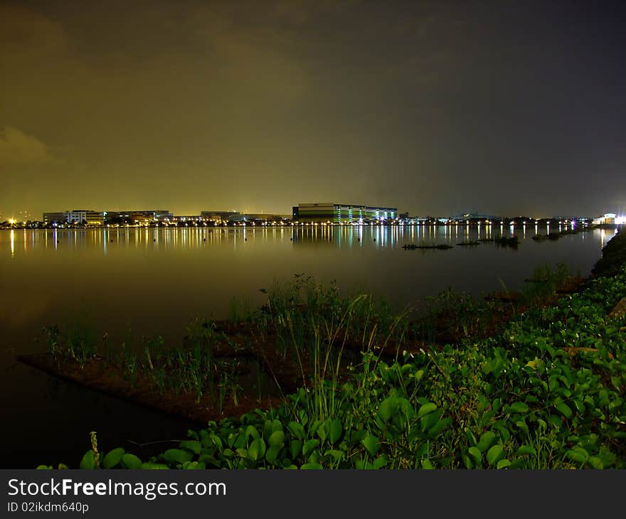 Pandan Reservoir by night with greenery foreground