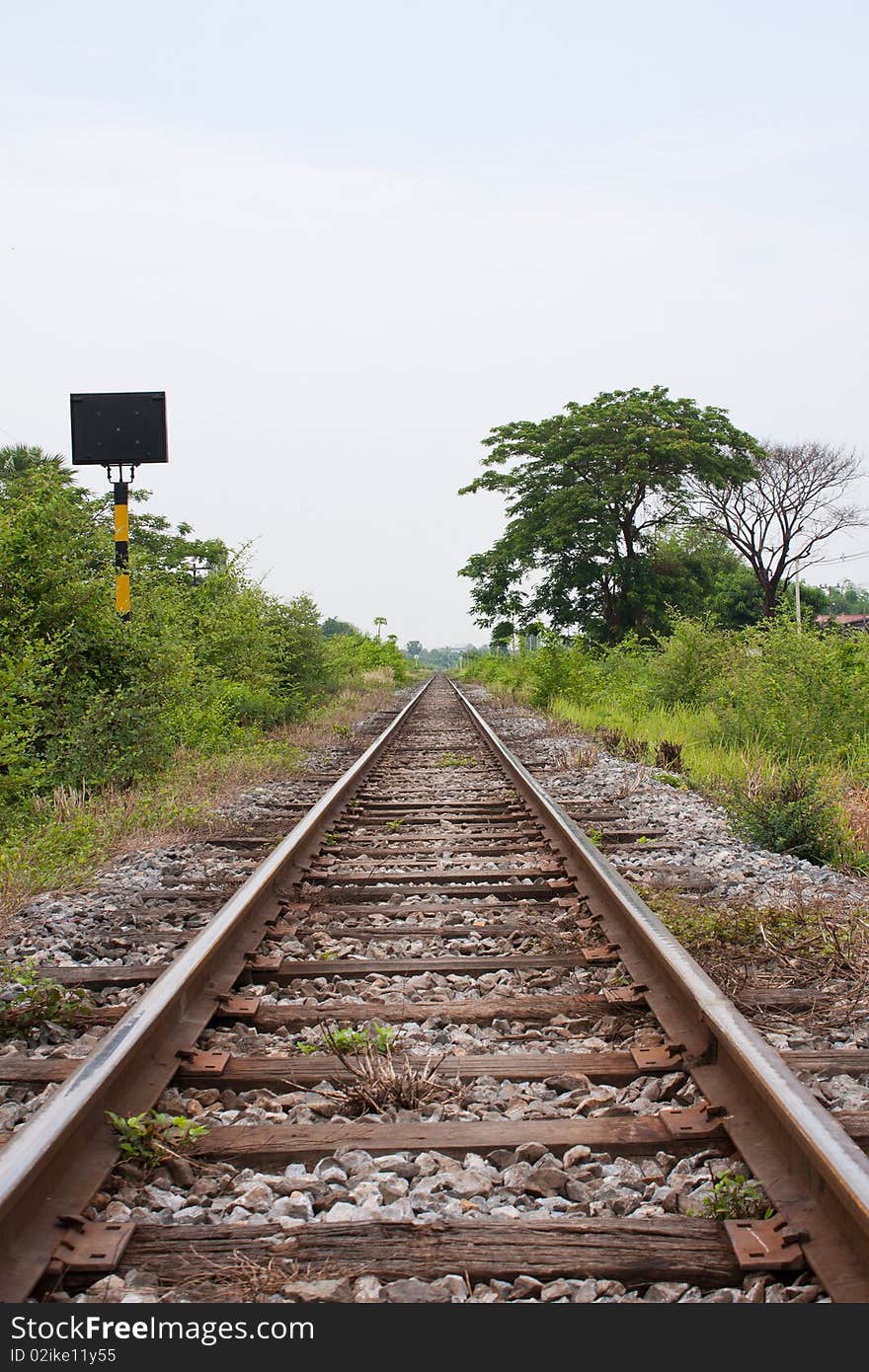 Railway sidewalk and the tree