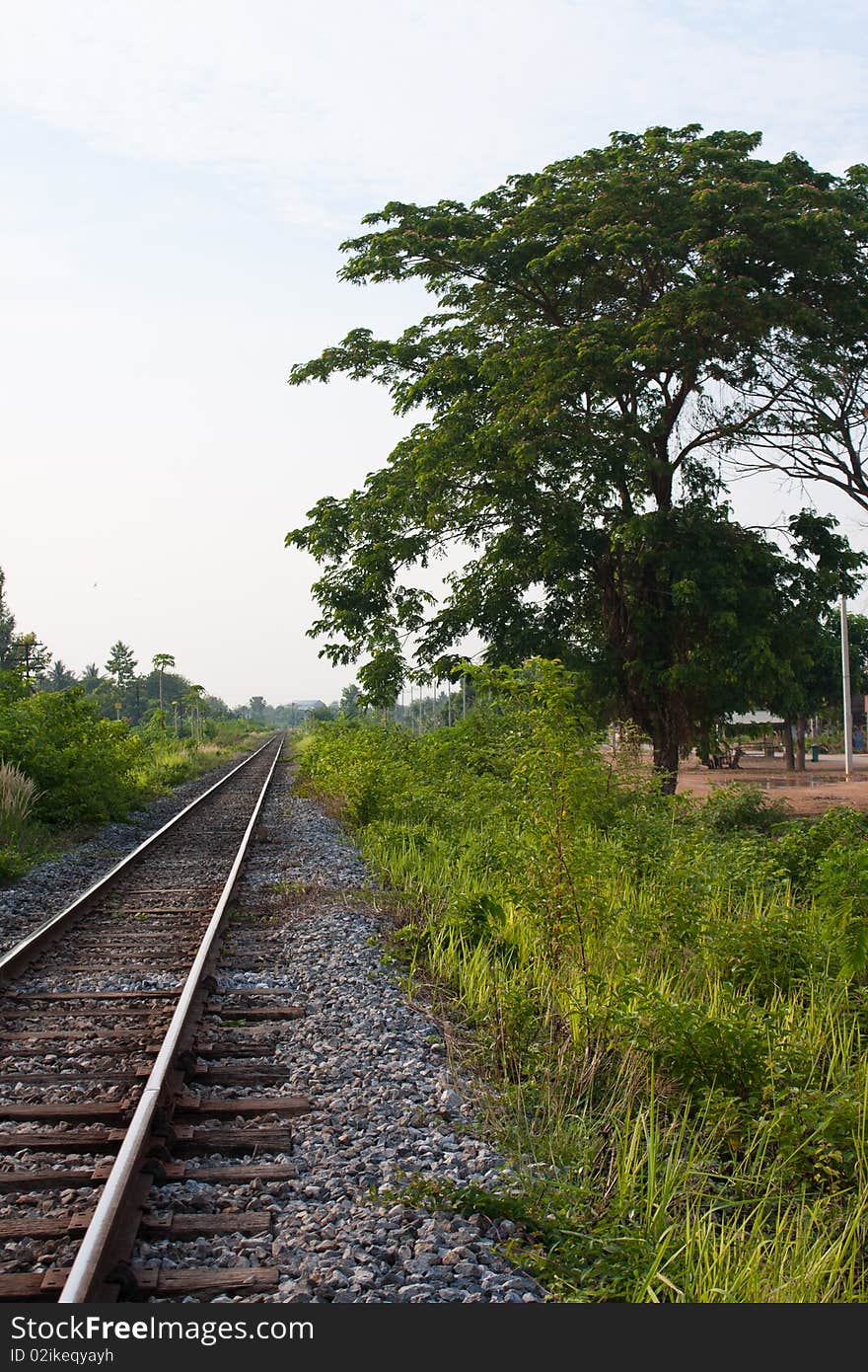 Railway sidewalk and the tree