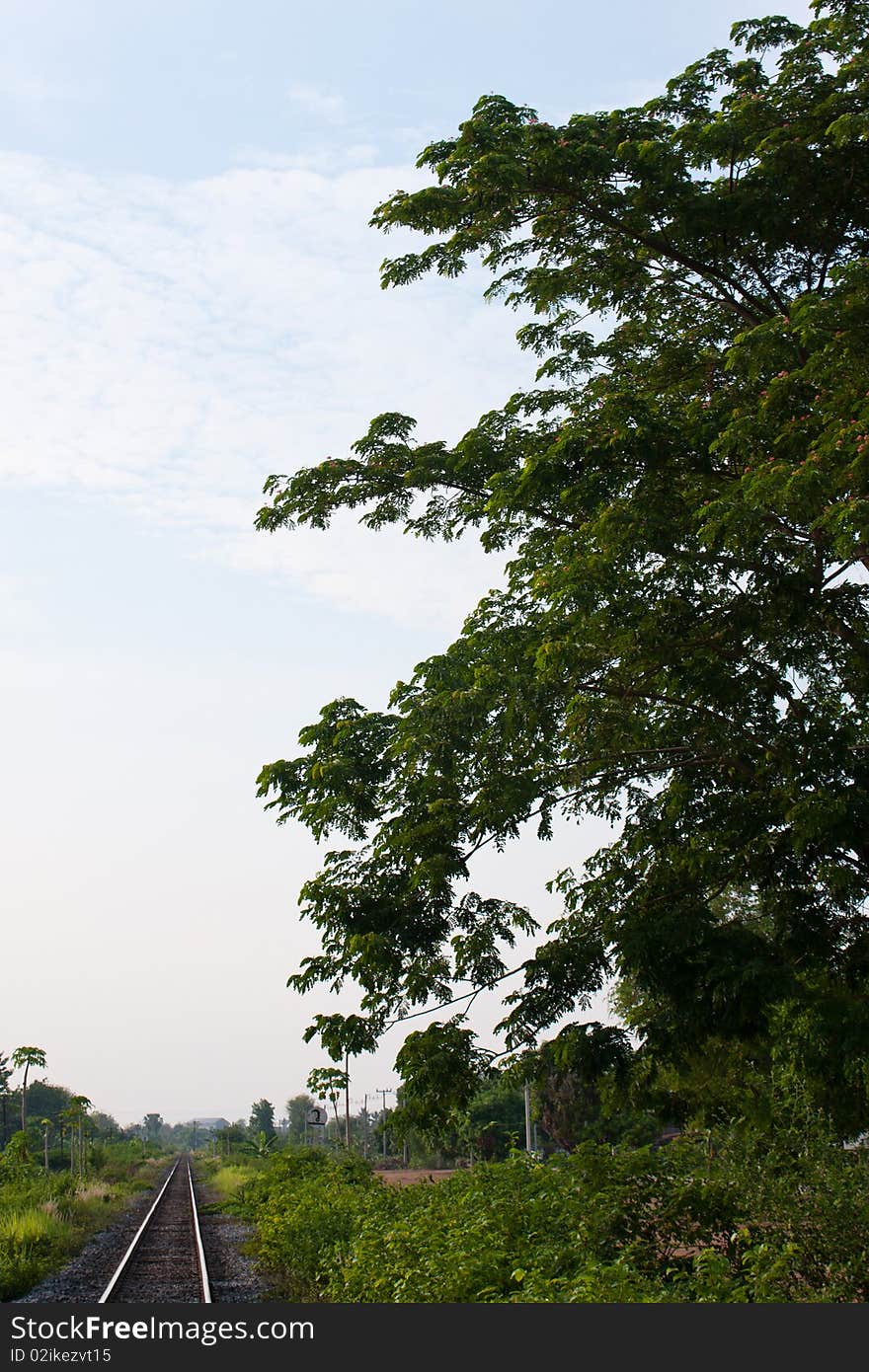 Railway Sidewalk And The Tree