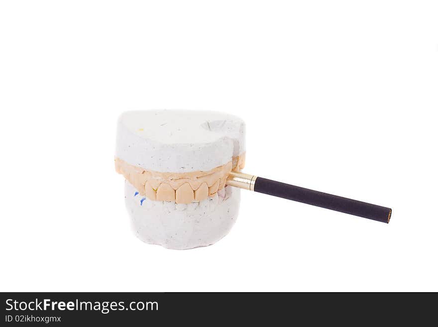 Teeth Plaster Cast. Close Up On White Background