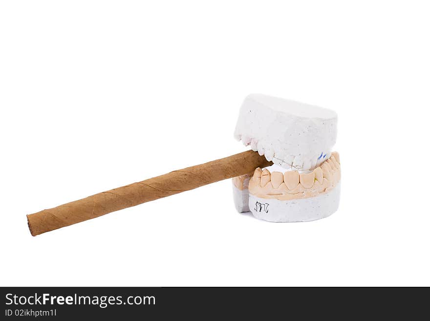 Teeth Plaster Cast. Close Up On White Background