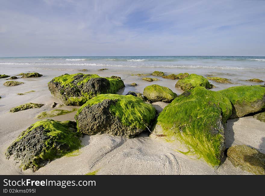 Rocky beach with seaweed, Santa Maria, cuba