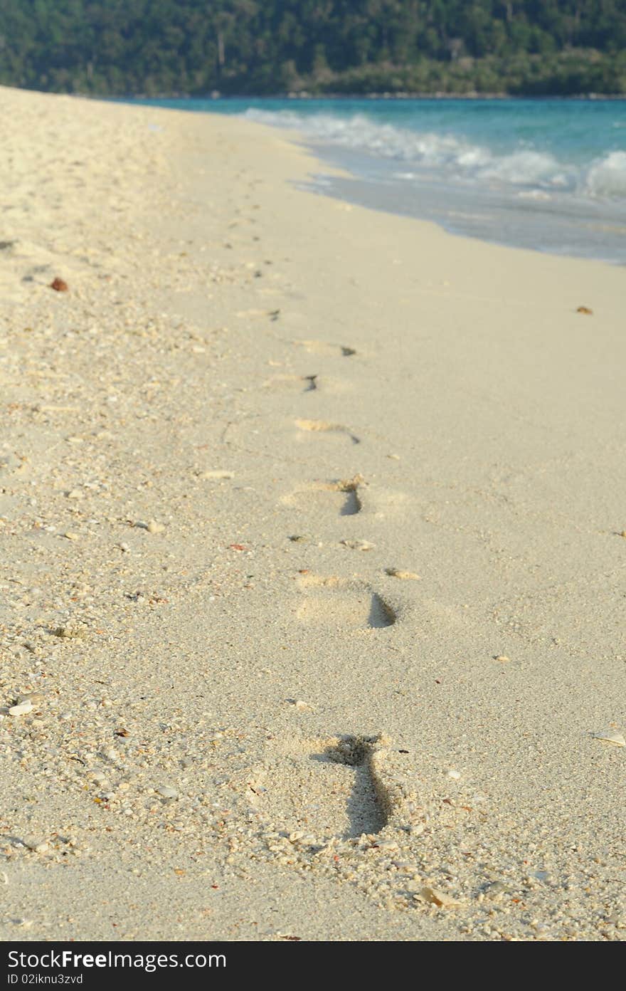 Beautiful beach and sea