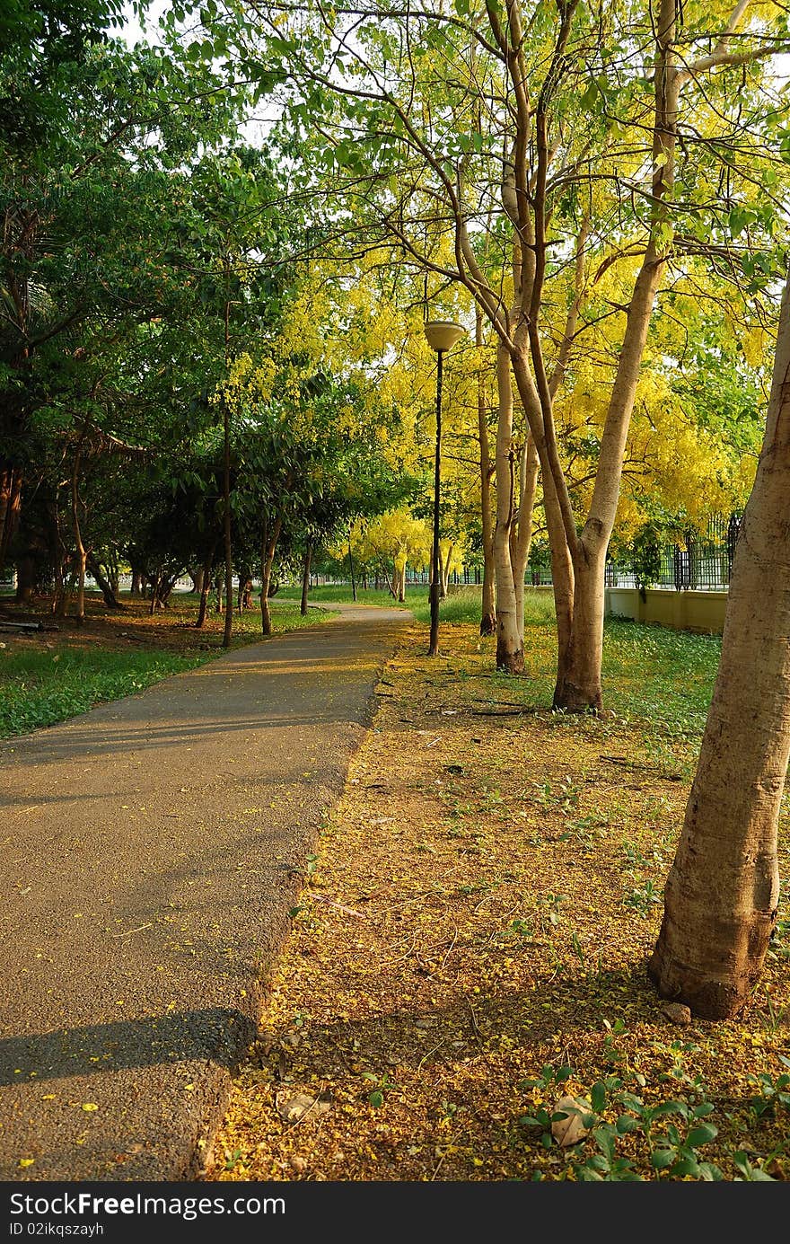 Pathway in the park, Khon Kaen, Thailand