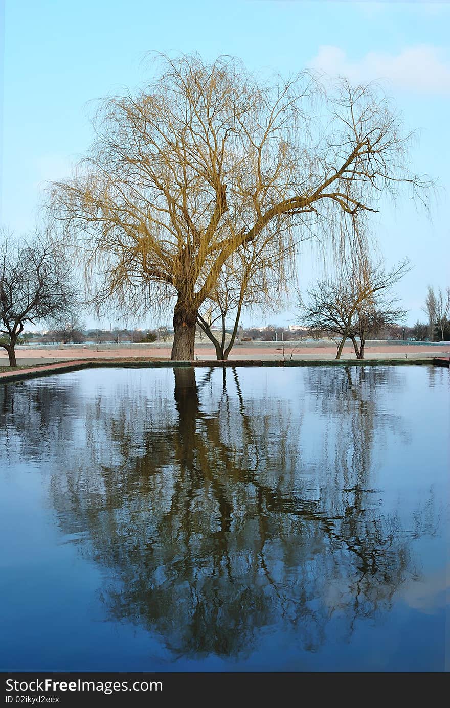 Lonely tree reflecting in the water against the blue sky. Lonely tree reflecting in the water against the blue sky