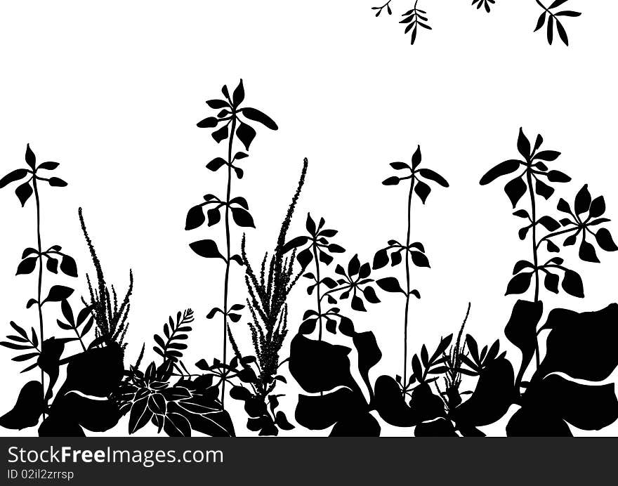 Floral black pattern with miscellanious plants. Floral black pattern with miscellanious plants