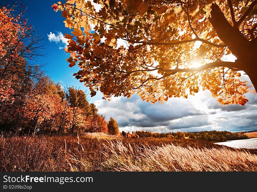 Autumn landscape