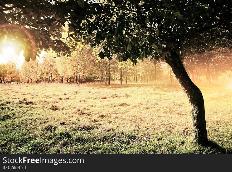 Autumn Landscape