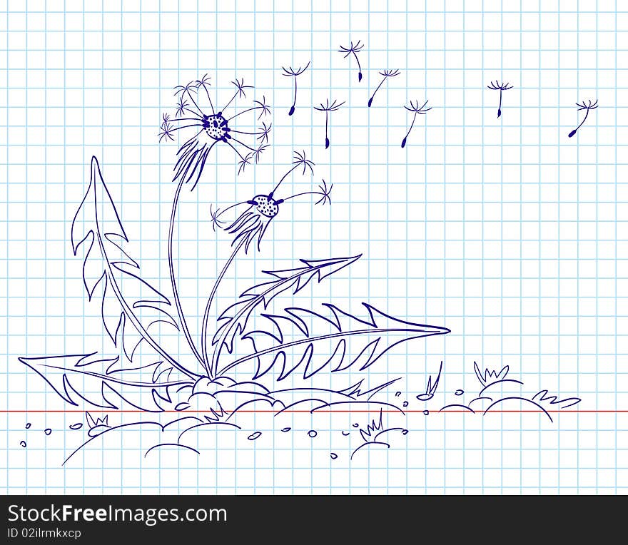 Doodle dandelion, line-art illustration