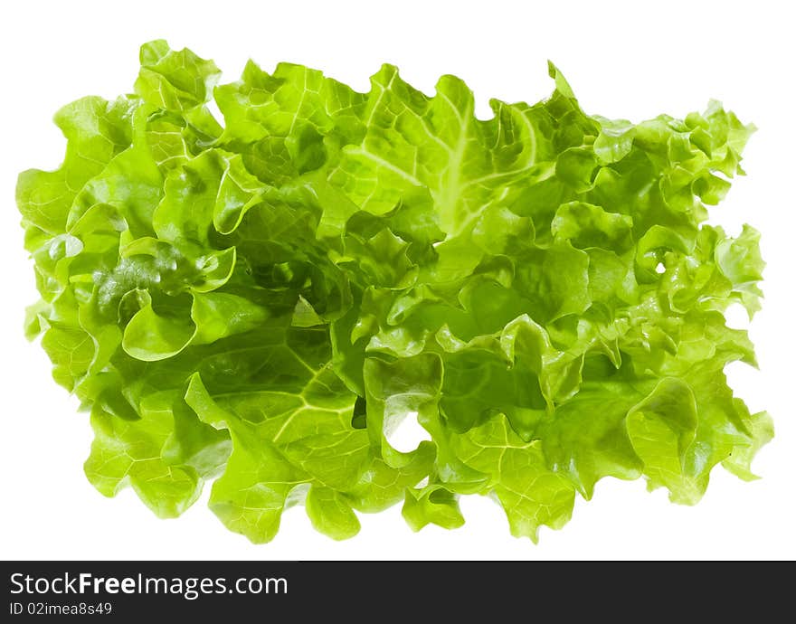 Green salad on white background