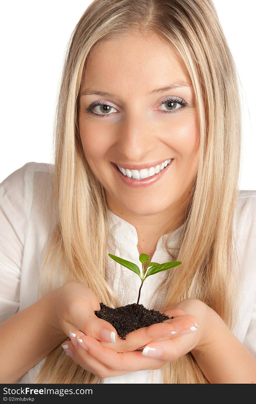 Isolated young plant in woman hands