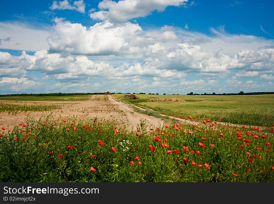 Rural Landscape