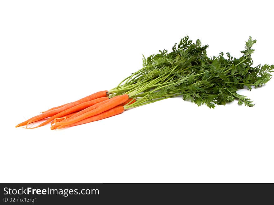 Fresh organic carrot