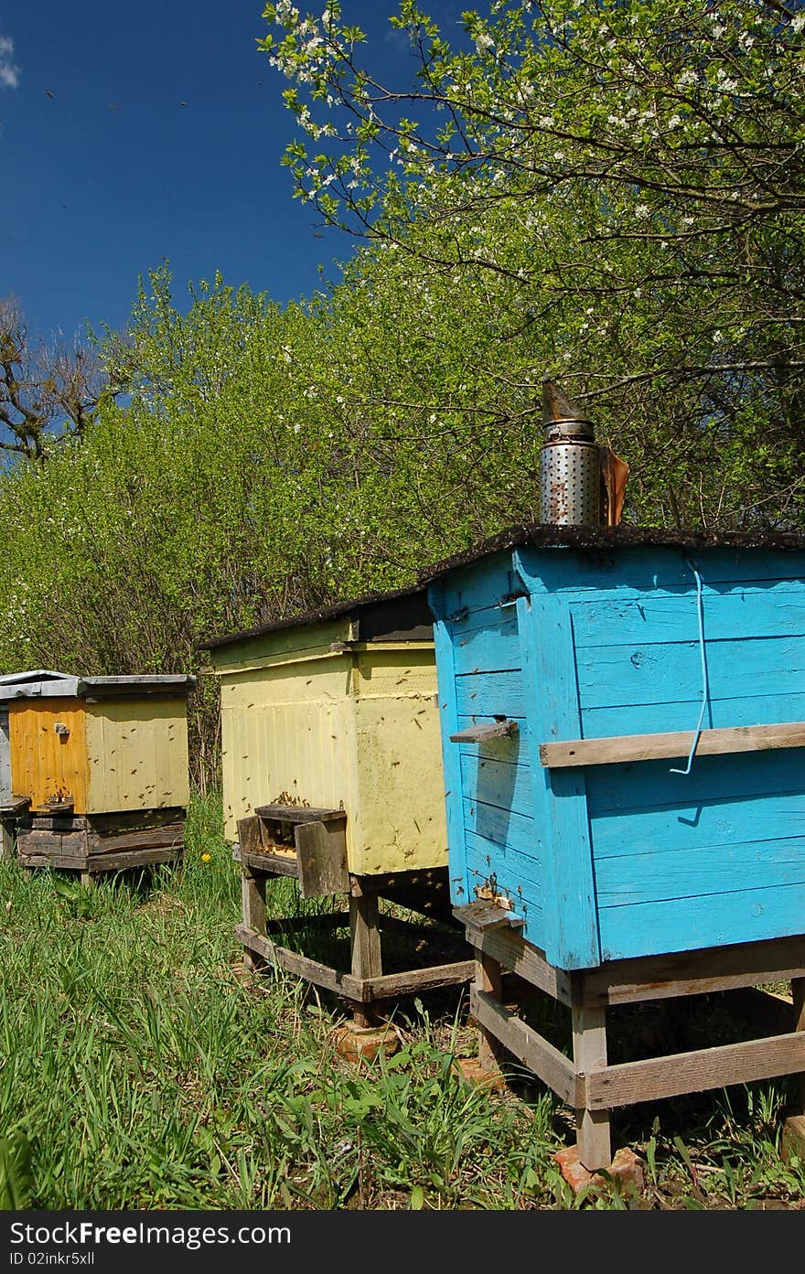 A few beehives and flying bees somewhere in Poland. A few beehives and flying bees somewhere in Poland