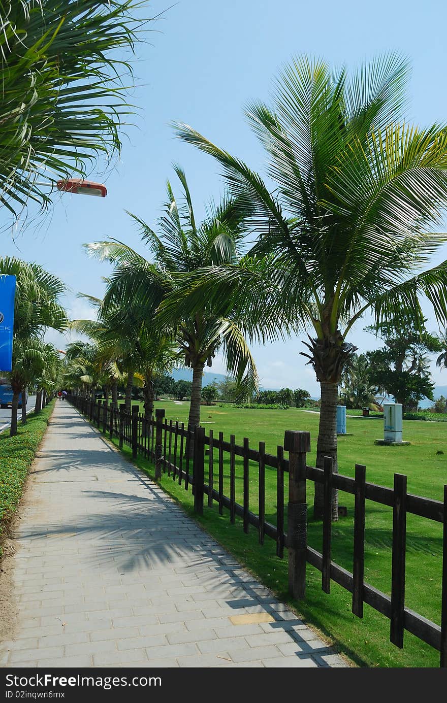 Paths through the park lawn. Paths through the park lawn