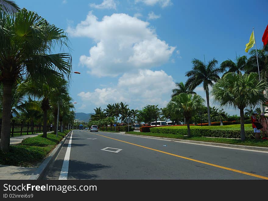 A beautiful green on both sides of the highway road