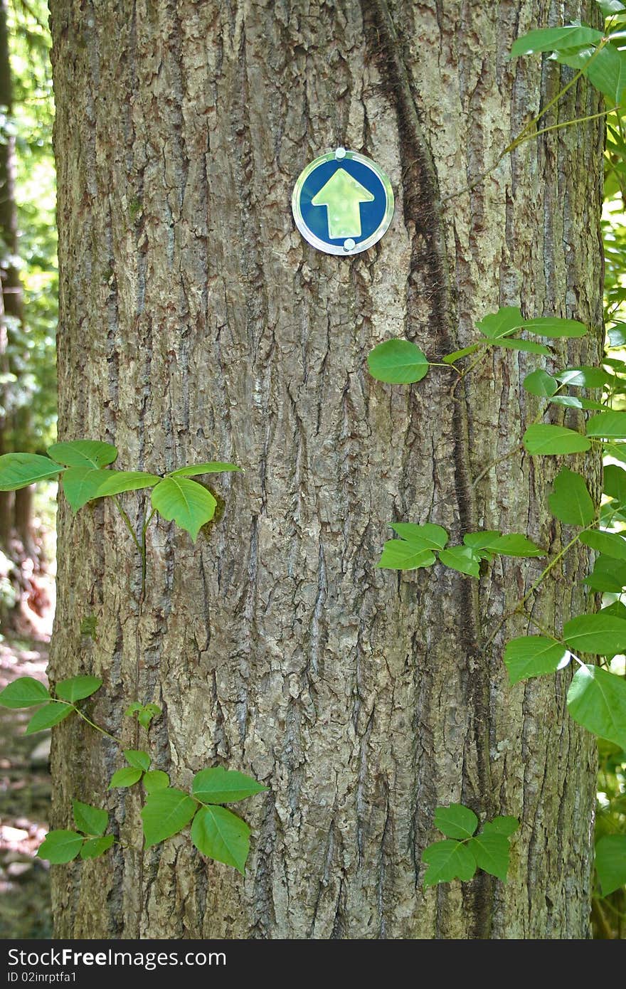 An arrow on a round metal trail marker points the way. An arrow on a round metal trail marker points the way