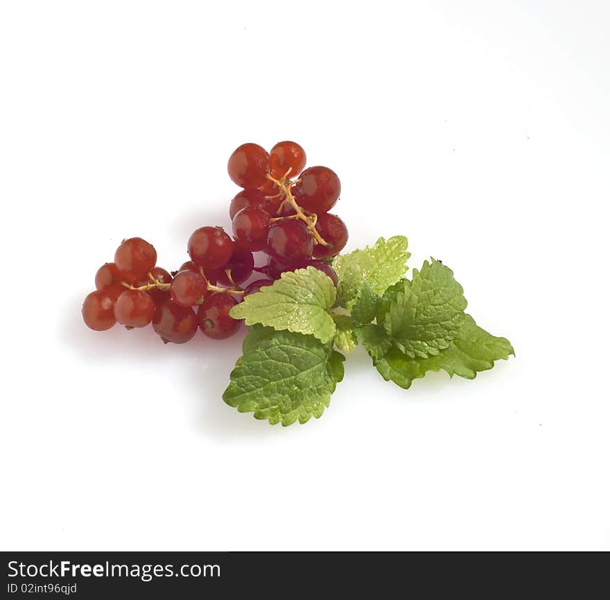 Currant grapes and mint leaves on a white background. Currant grapes and mint leaves on a white background