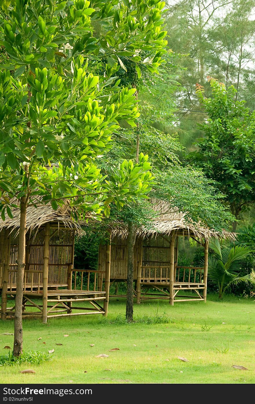 Bamboo hut in the garden