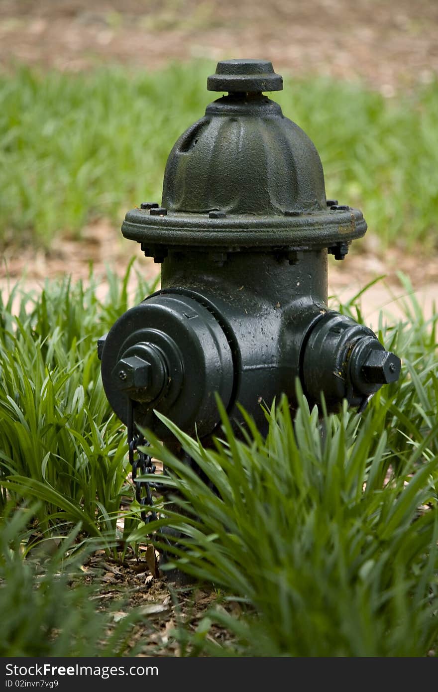 Dark green fire hydrant in grass