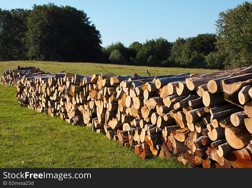 A lot of wooden stumps laying on a green field