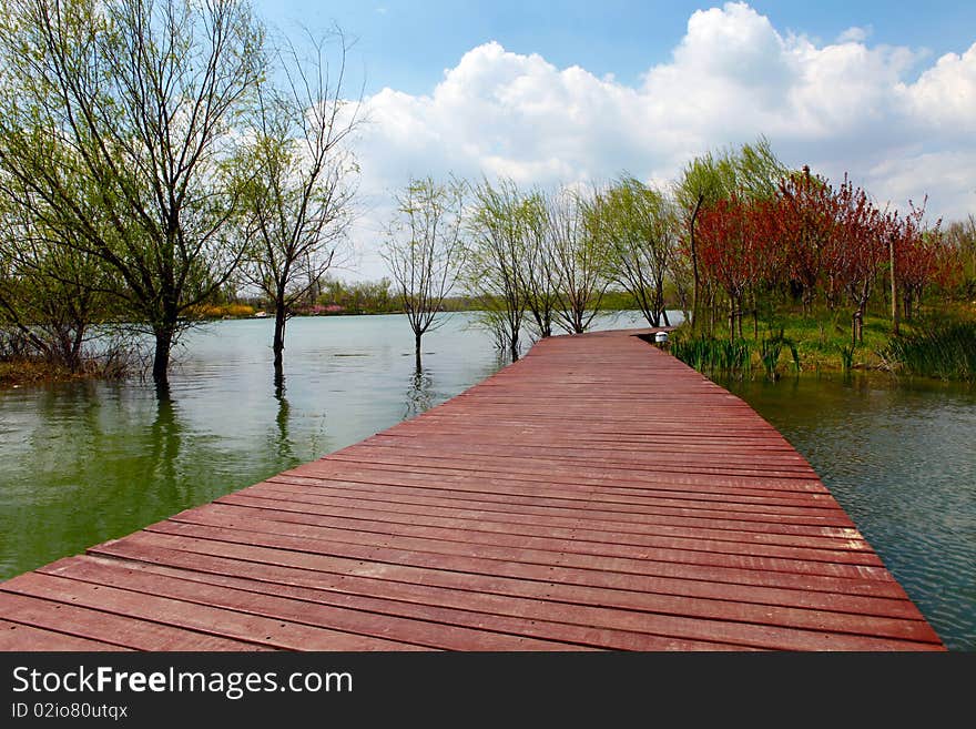 A road formed by wood