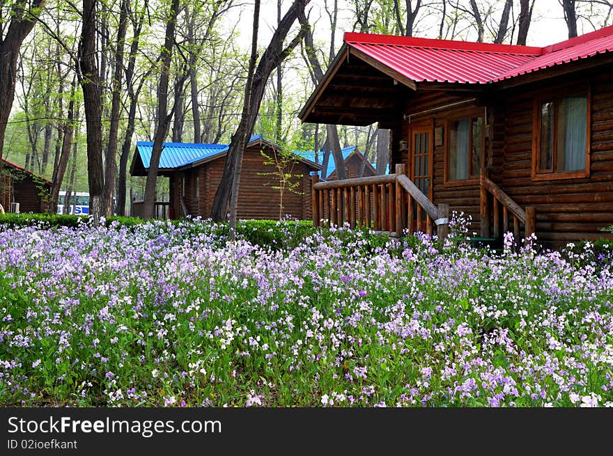 Villa in the beautiful fields