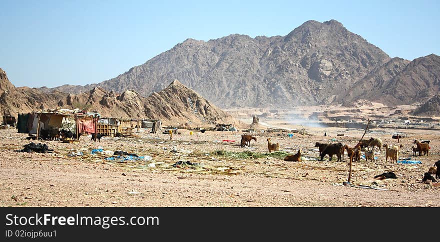 Bedouins settlement in Egypt, Africa