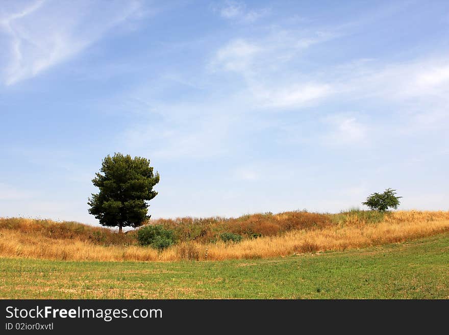 Landscape with two trees and blue sky