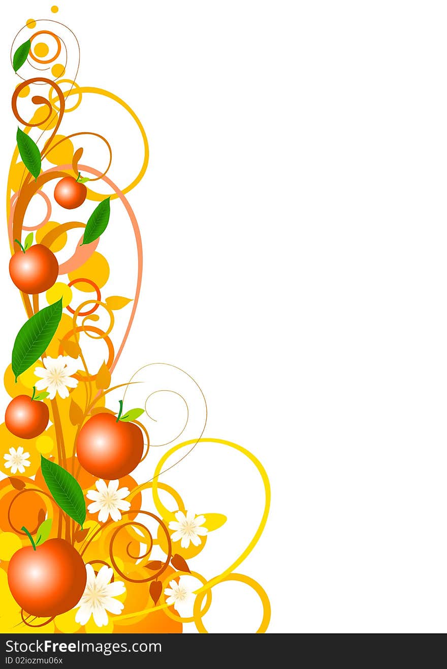 An illustration of oranges and flowers with ornaments. An illustration of oranges and flowers with ornaments